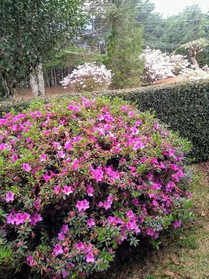 Pousada Casa Campos Bed & Breakfast Campos do Jordao